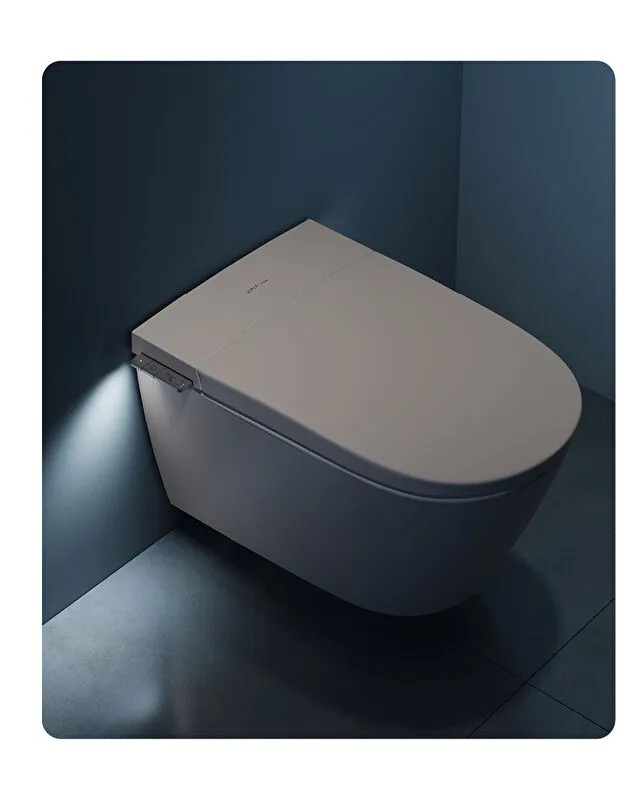 Smart toilet selection