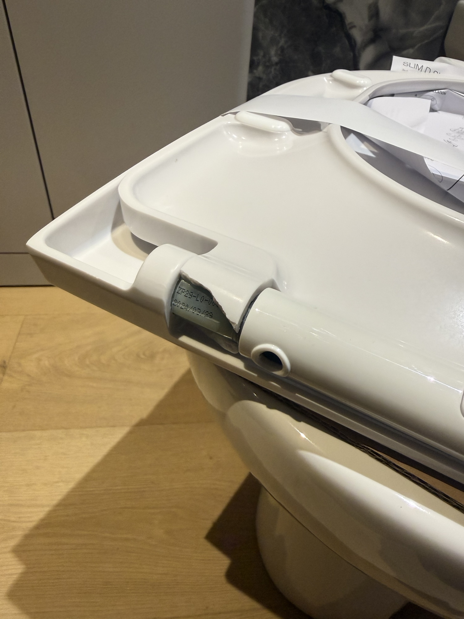 Damaged toilet seat